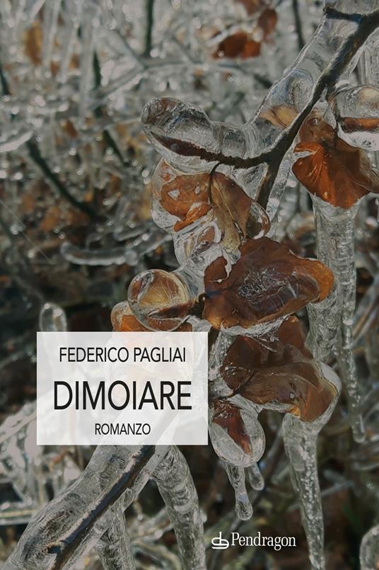 Dimoiare - Federico Pagliai - copertina