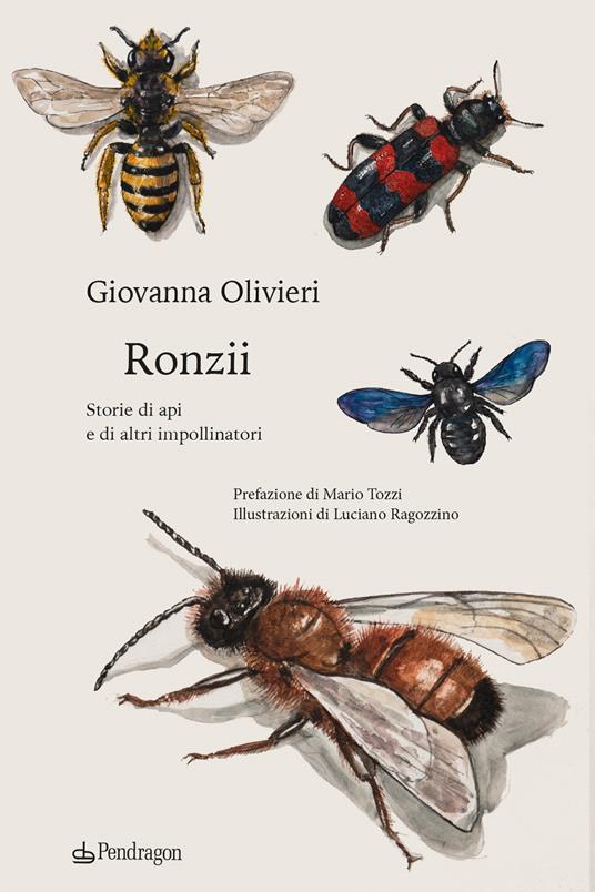 Ronzii. Storie di api e di altri impollinatori - Giovanna Olivieri - copertina