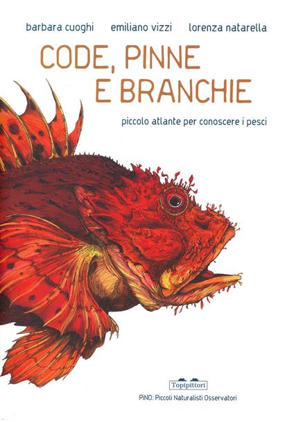 Code, pinne e branchie. Piccolo atlante per conoscere i pesci - Barbara Cuoghi,Emiliano Vizzi - copertina