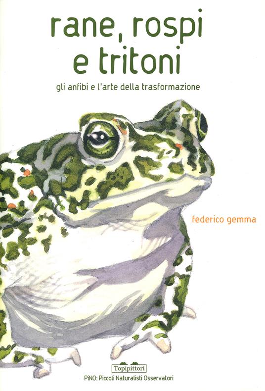 Rane, rospi e tritoni. Gli anfibi e l'arte della trasformazione. Ediz. a colori - Federico Gemma - copertina