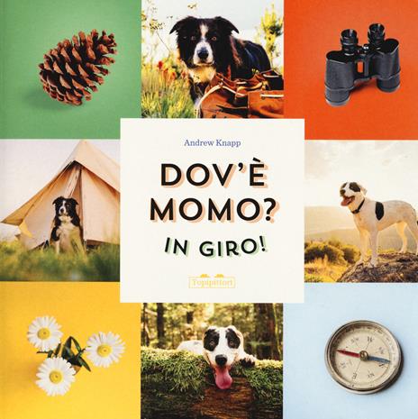 Dov'è Momo? In giro! Ediz. a colori - Andrew Knapp - copertina