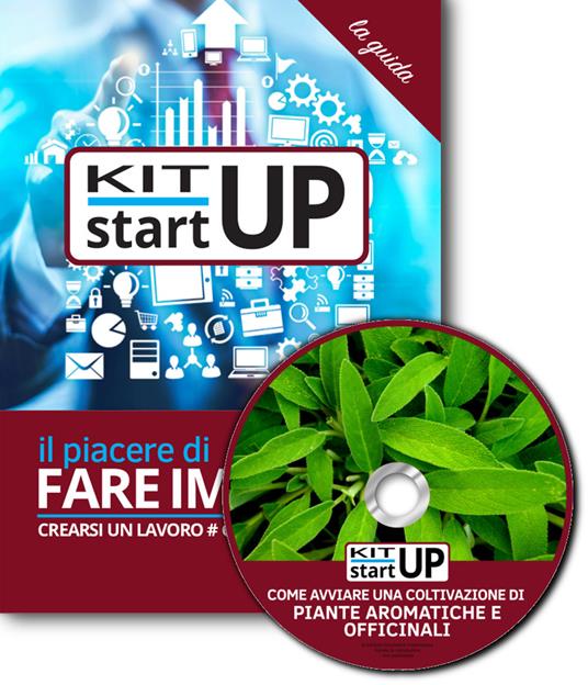 Come avviare una coltivazione di piante aromatiche e officinali. Con aggiornamento 2018. Con CD-ROM - copertina