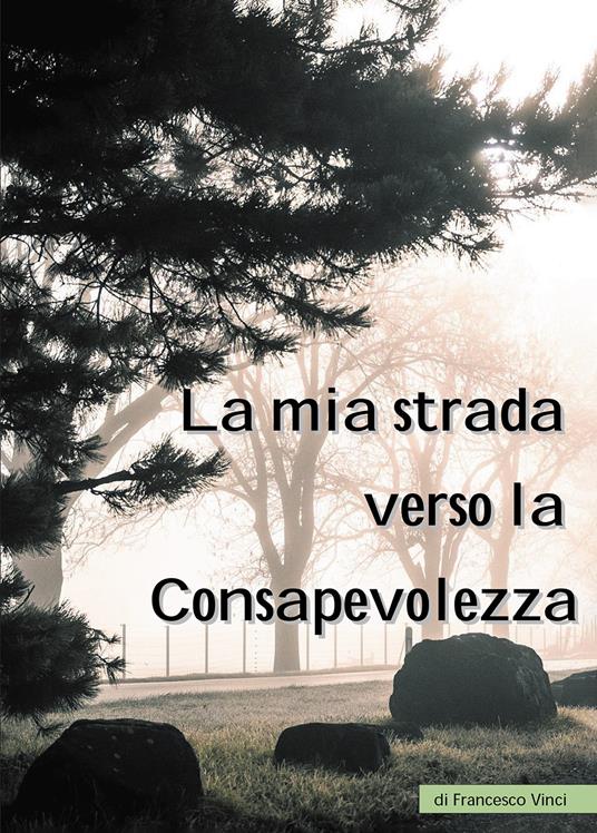 La mia strada verso la consapevolezza - Francesco Vinci - copertina