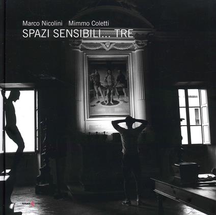 Spazi sensibili... tre - Mimmo Coletti,Marco Nicolini - copertina