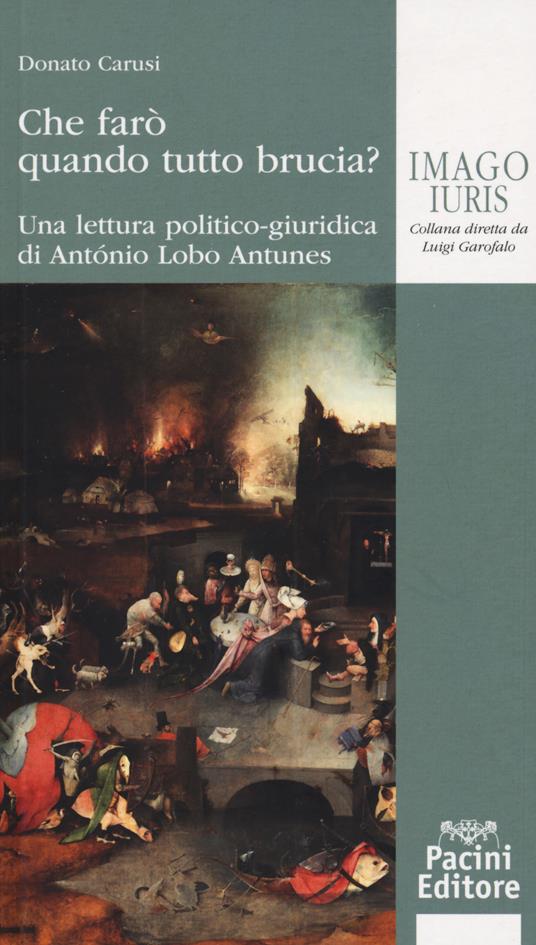 Che farò quando tutto brucia? Una lettura politico-giuridica di Antonio Lobo Antunes - Donato Carusi - copertina