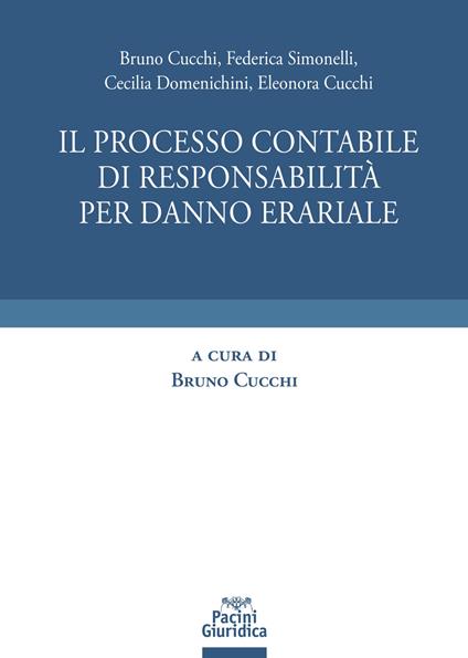 Processo contabile di responsabilità per danno erariale - copertina