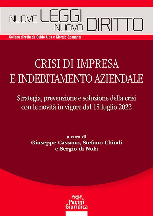 Crisi di impresa e indebitamento aziendale - Cassano,Chiodi,Nola - copertina