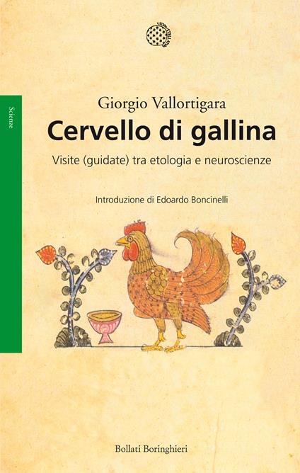 Cervello di gallina. Visite (guidate) tra etologia e neuroscienze - Giorgio Vallortigara - copertina