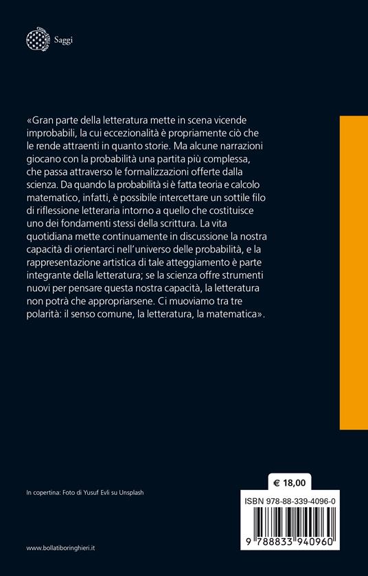 L' universo letterario del probabile. Matematica, determinismo e probabilità da Poe a McEwan - Francesca Romana Capone - 2