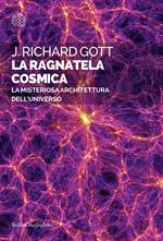 La ragnatela cosmica. La misteriosa architettura dell'universo