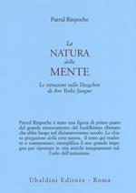 La natura della mente. Le istruzioni sullo Dzogchen di Aro Yeshe Jungne