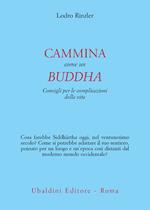 Cammina come un Buddha. Consigli per le complicazioni della vita