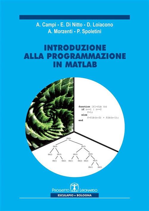 Introduzione alla programmazione in Matlab - Alessandro Campi,Elisabetta Di Nitto,Daniele Loiacono,Angelo Morzenti - ebook