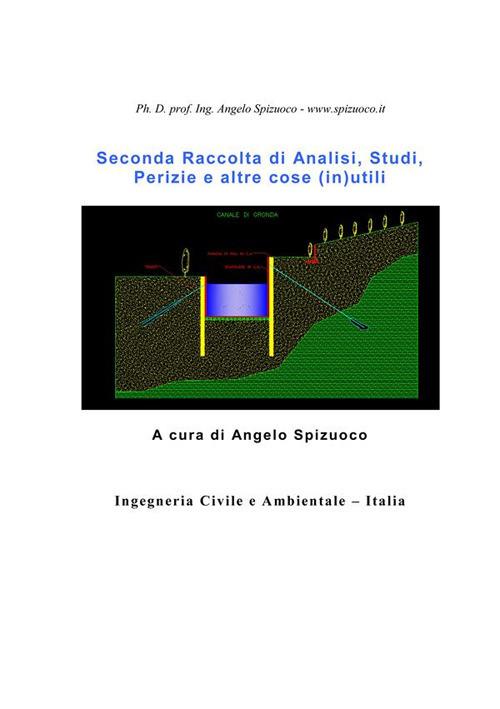 Seconda raccolta di analisi, studi, perizie e altre cose (in)utili - Angelo Spizuoco - ebook