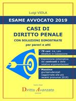 Esame avvocato 2019. Casi di diritto penale. Con soluzioni dimostrate per pareri e atti