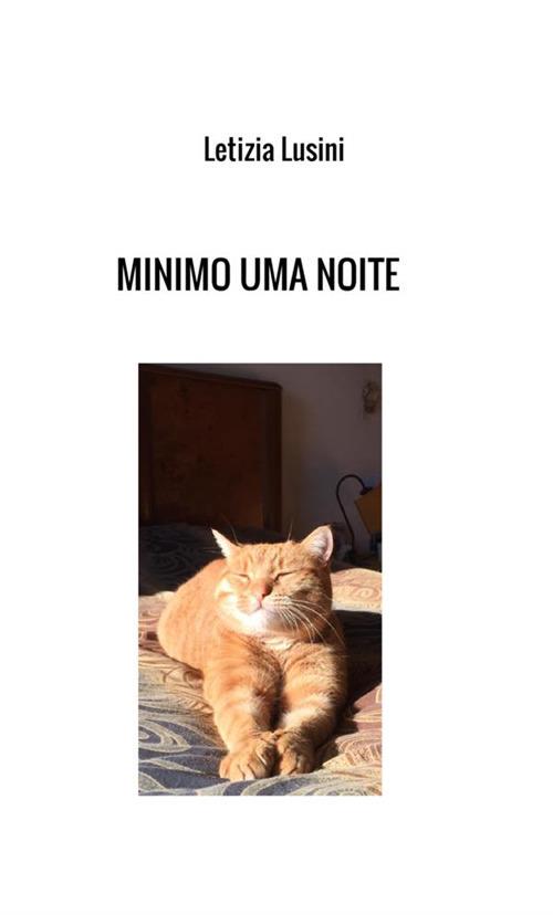 Minimo uma noite - Letizia Lusini - copertina