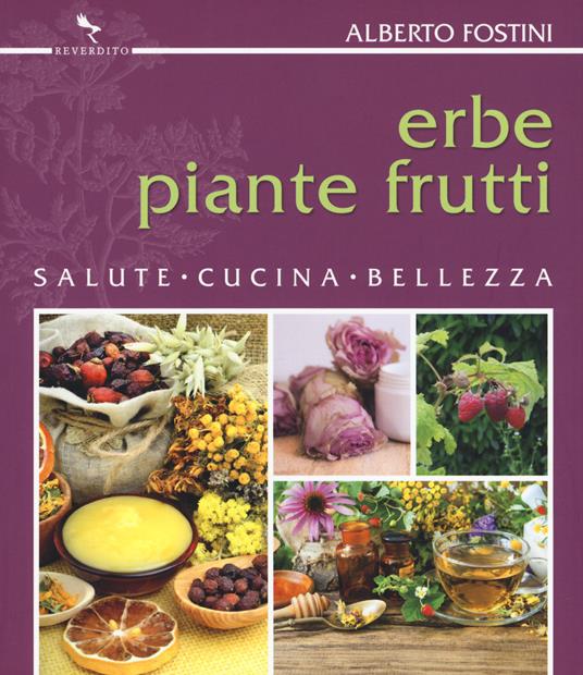 Erbe piante frutti. Salute cucina bellezza - Alberto Fostini - copertina