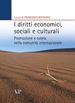 I diritti economici, sociali e culturali. Promozione e tutela nella comunità internazionale