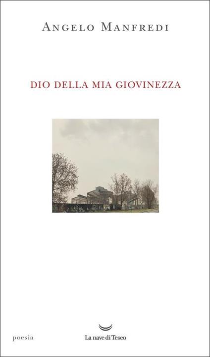 Dio della mia giovinezza - Angelo Manfredi - copertina