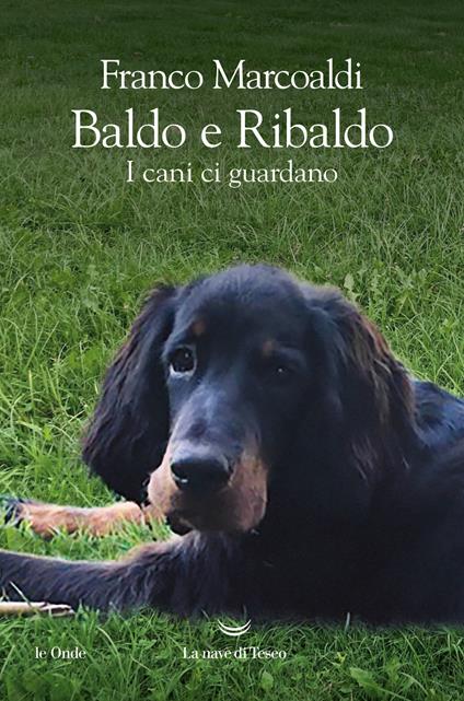 Baldo e Ribaldo. I cani ci guardano - Franco Marcoaldi - copertina