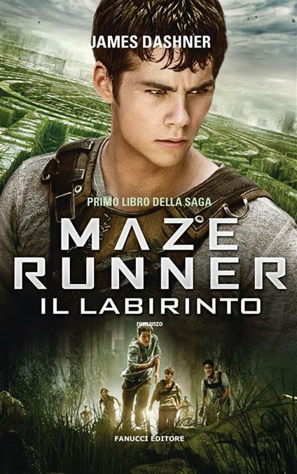 Il labirinto. Maze Runner. Vol. 1 - James Dashner,Annalisa Di Liddo - ebook