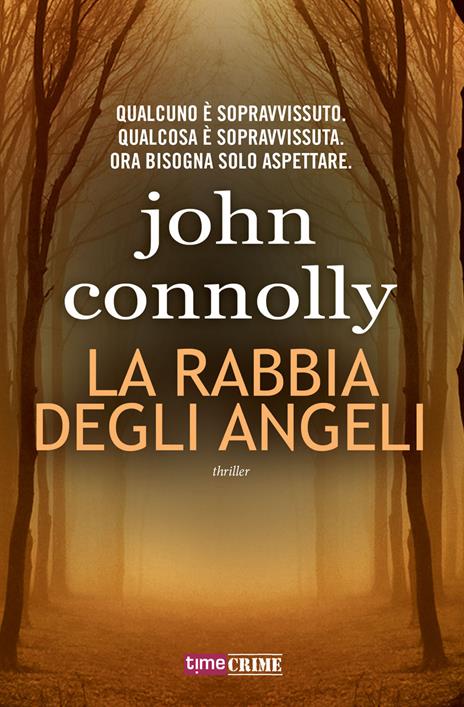 La rabbia degli angeli - John Connolly - copertina