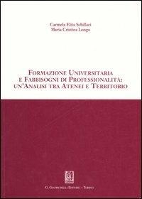 Formazione universitaria e fabbisogni di professionalità: un'analisi tra atenei e territorio - Carmela E. Schillaci,Maria Cristina Longo - copertina