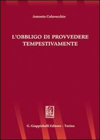 L' obbligo di provvedere tempestivamente - Antonio Colavecchio - copertina