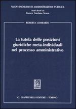 La tutela delle posizioni giuridiche meta-individuali nel processo amministrativo