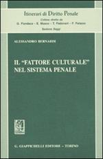 Il «fattore culturale» nel sistema penale