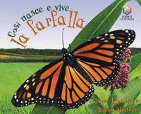 Così nasce e vive la farfalla - Claire Llewellyn - copertina