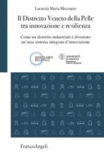 Il Distretto Veneto della Pelle tra innovazione e resilienza. Come un distretto industriale è diventato un'area sistema integrata d'innovazione