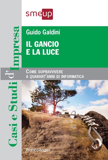 Il gancio e la luce. Come sopravvivere a quarant'anni di informatica - Guido Galdini - copertina