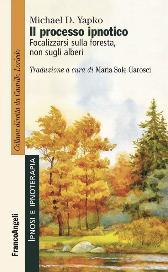Il processo ipnotico. Focalizzarsi sulla foresta, non sugli alberi - Michael D. Yapko,Maria Sole Garosci - ebook