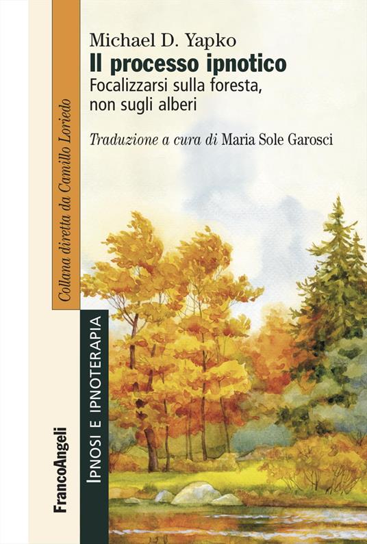 Il processo ipnotico. Focalizzarsi sulla foresta, non sugli alberi - Michael D. Yapko - copertina