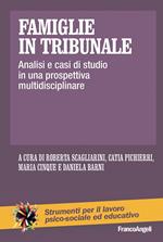 Famiglie in tribunale. Analisi e casi di studio in una prospettiva multidisciplinare