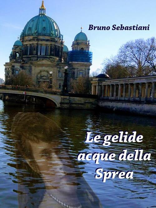 Le gelide acque della Sprea - Bruno Sebastiani - ebook