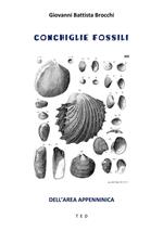 Conchiglie fossili. Dell'area appenninica