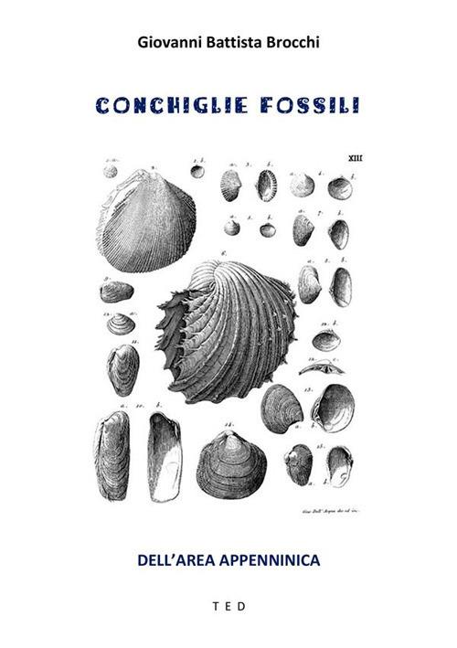 Conchiglie fossili. Dell'area appenninica - G. Battista Brocchi - ebook