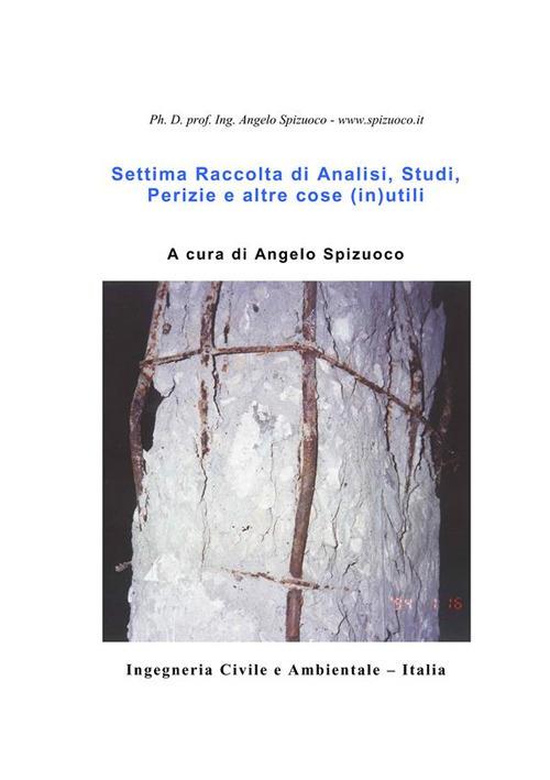 Settima raccolta di analisi, studi, perizie e altre cose (in)utili - Angelo Spizuoco - ebook