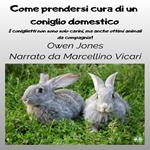 Come Prendersi Cura Di Un Coniglio Domestico