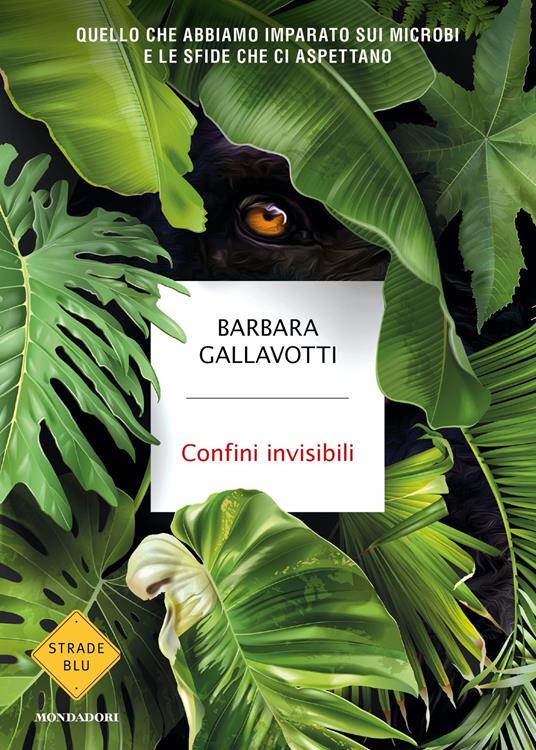 Confini invisibili. Quello che abbiamo imparato sui microbi e le sfide che ci aspettano - Barbara Gallavotti - ebook