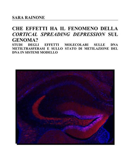 Che effetti ha la Cortical Spreading Depression sul genoma? Studi degli effetti molecolari sulle DNA metiltrasferasi e sullo stato di metilazione del DNA in sistemi modello - Sara Rainone - ebook