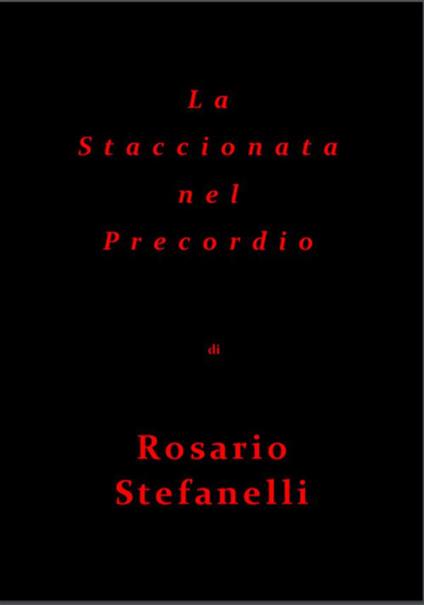 La staccionata nel Precordio - Rosario Stefanelli - ebook