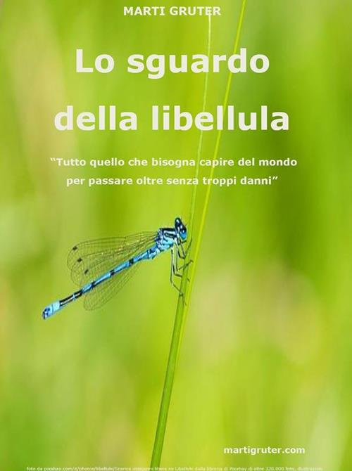 Lo sguardo della libellula. «Tutto quello che bisogna capire del mondo per passare oltre senza troppi danni» - Marti Gruter - ebook