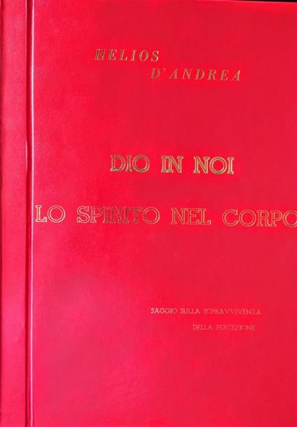 Dio in noi. Lo Spirito nel corpo. Saggio sulla sopravvivenza della percezione. Itinerario di filosofia metapsichica - Helios D'Andrea - ebook