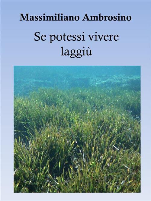 Se potessi vivere laggiù - Massimiliano Ambrosino - ebook