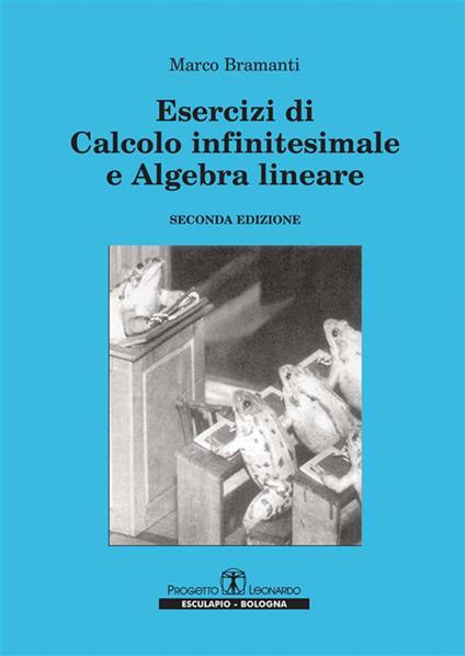 Esercizi di calcolo infinitesimale e algebra lineare - Marco Bramanti - ebook