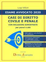 Esame avvocato 2020. Casi di diritto civile e penale. Con soluzioni dimostrate