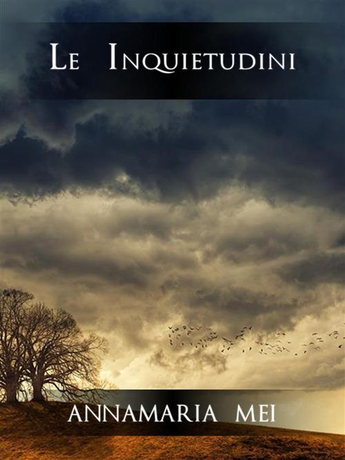 Le inquietudini - Annamaria Mei - ebook